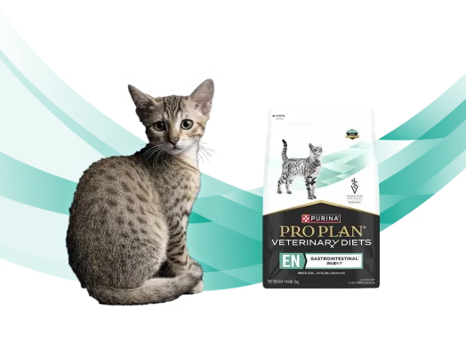 ピュリナ プロプラン ベテリナリーダイエット 猫用 - ピュリナ公式サイト